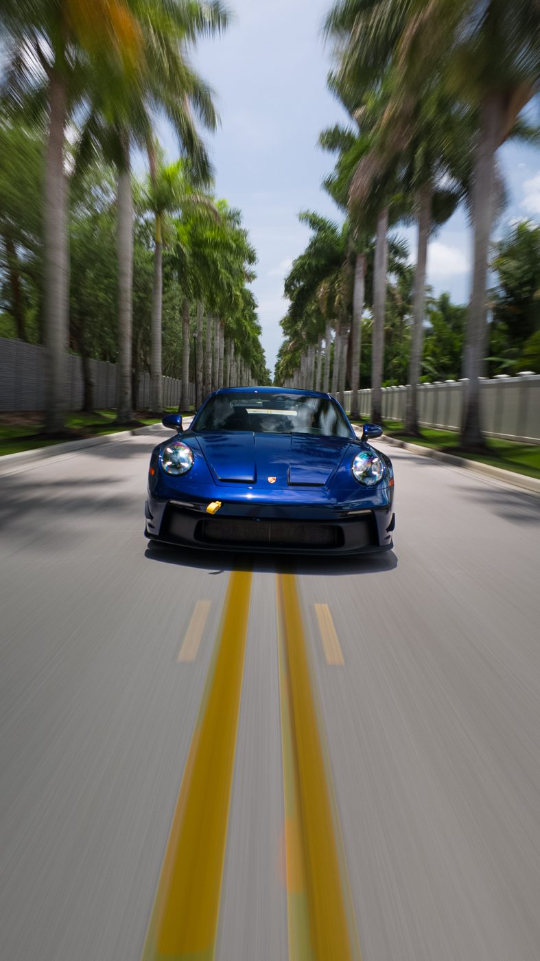 Palm Royale fine art print by Kaleb Trenkle, Naples FL